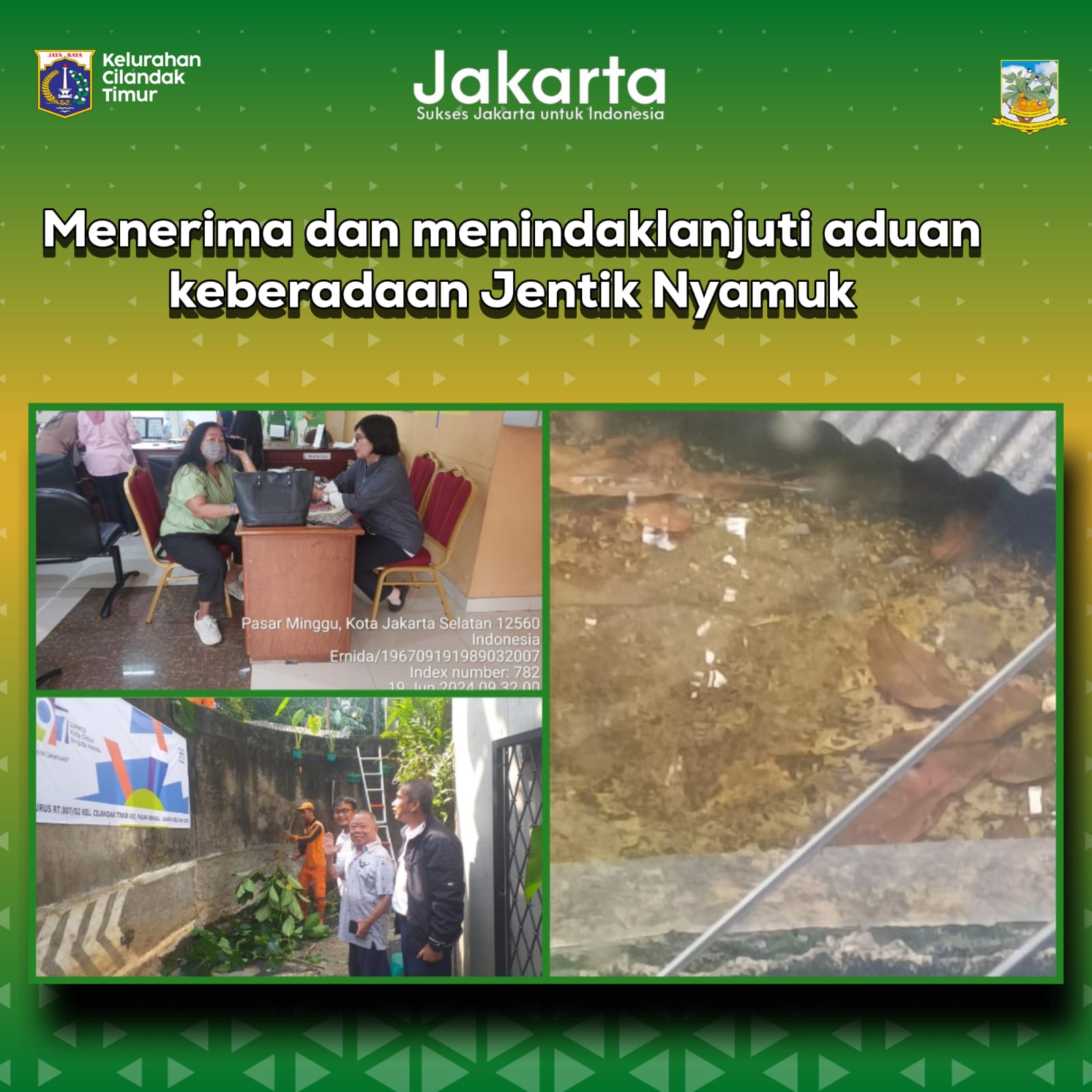 Aduan-Keberadaan-Jentik-Nyamuk