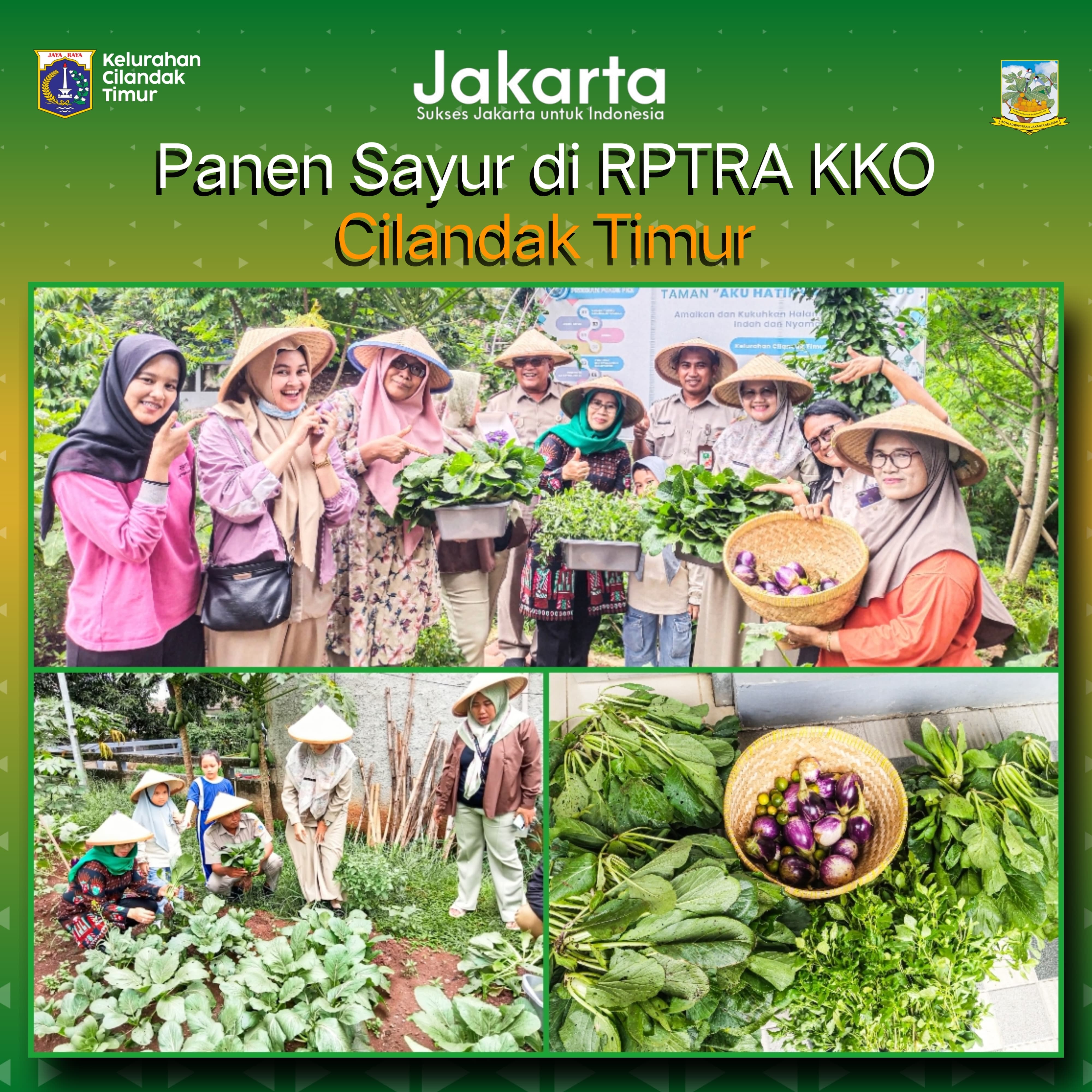 Budidaya-Sayuran-Buah-dan-Tumbuhan-Herbal-di-RPTRA-KKO
