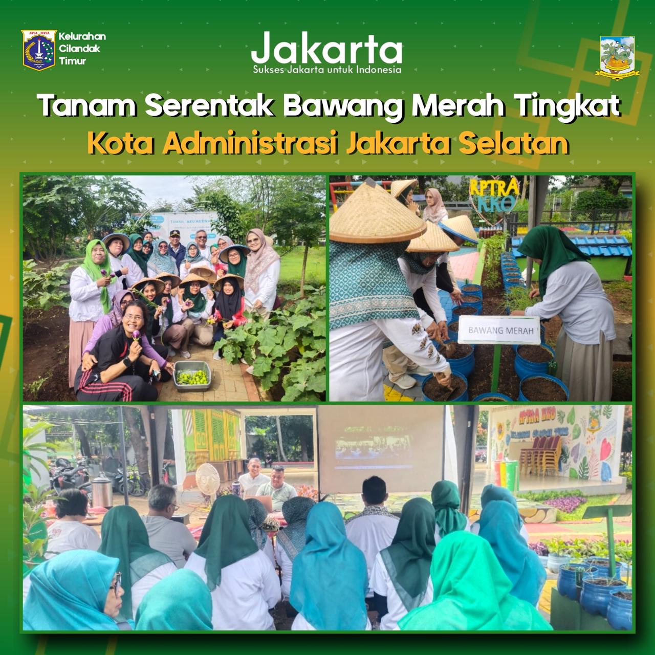 Tanam-Serentak-Bawang-Merah-Tingkat-Kota-Administrasi-Jakarta-Selatan