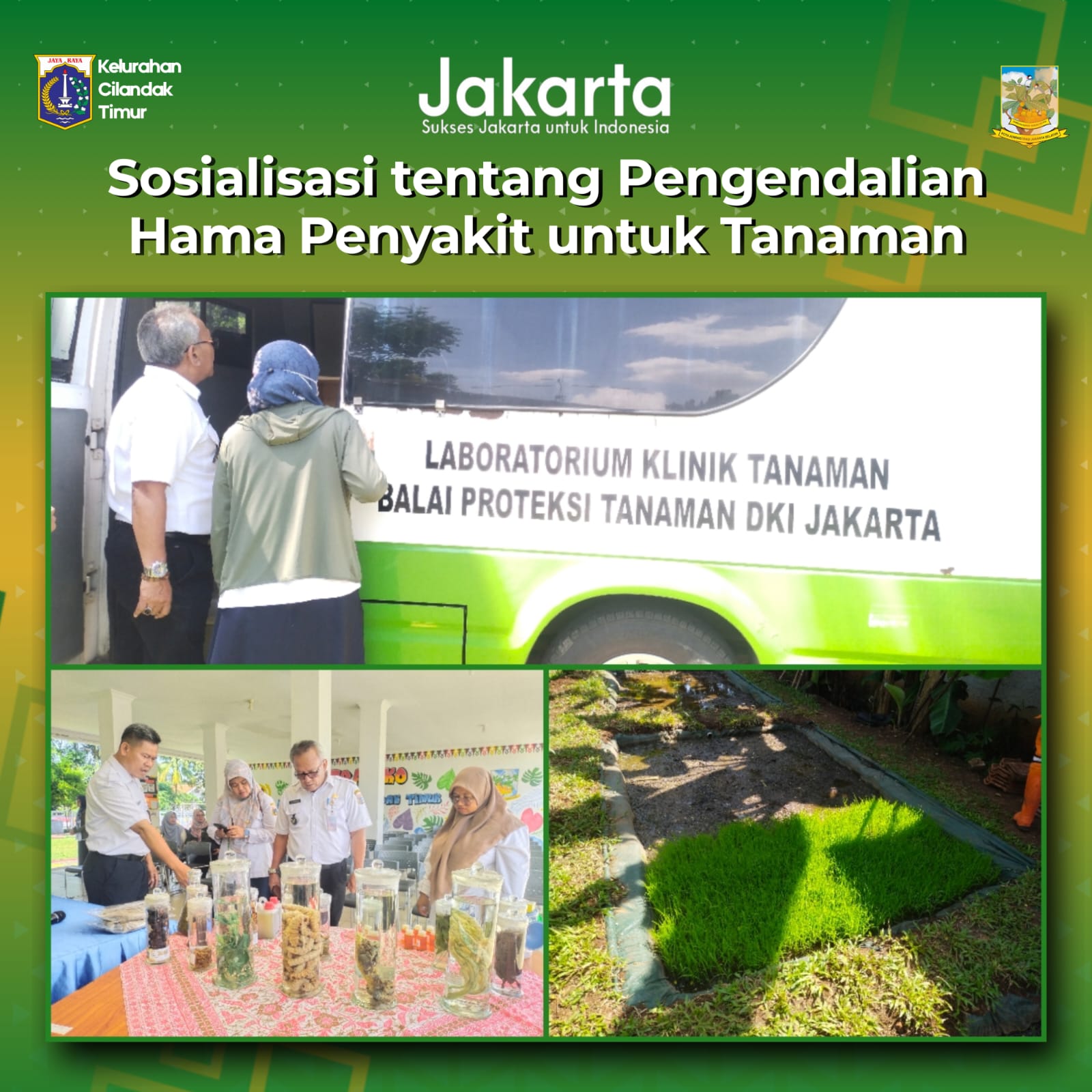 Sosialisasi-Pengendalian-Hama-dan-Penyakit-pada-Tanaman