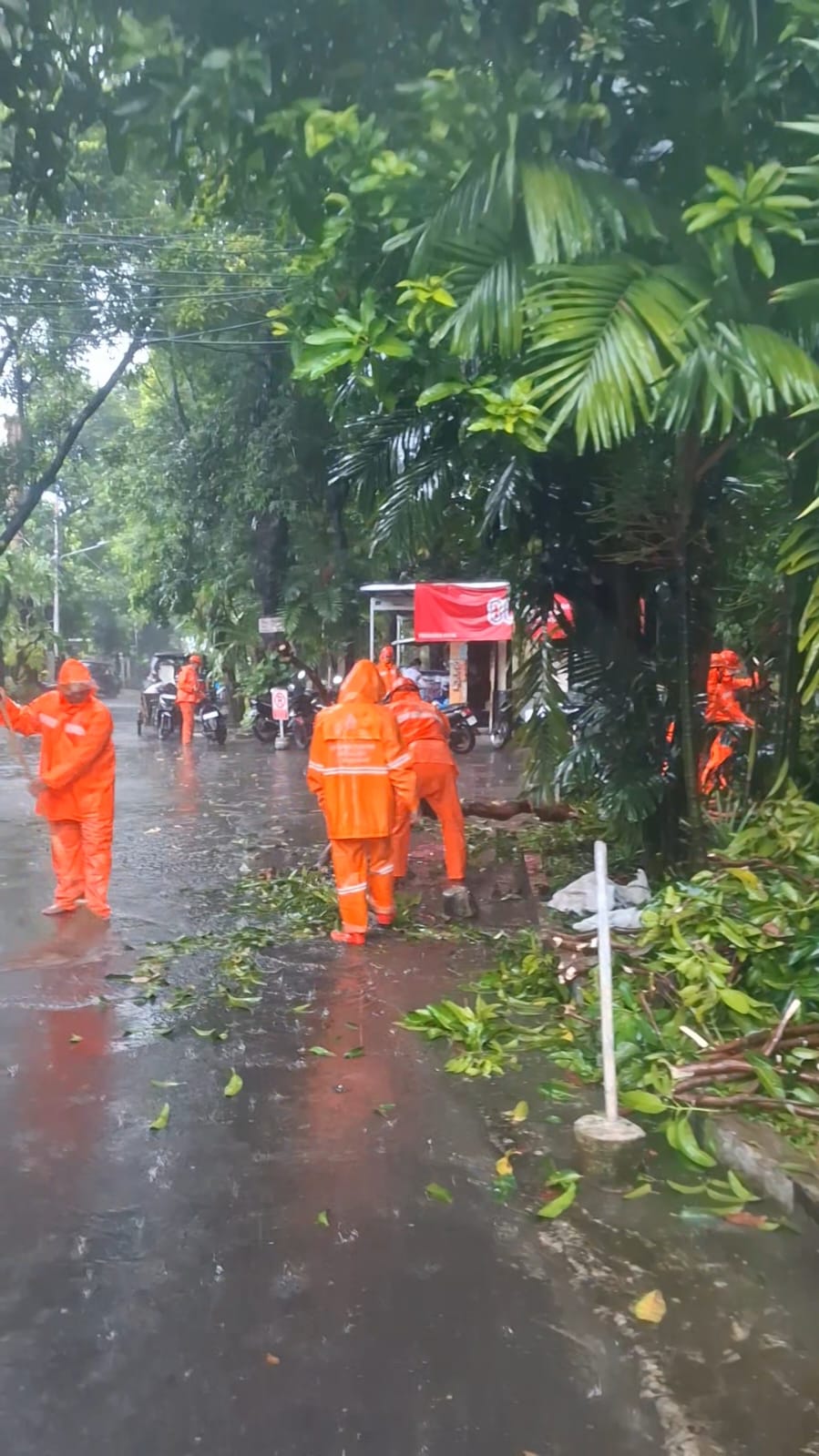 Gerak-Cepat-AtasI-Pohon-Sempal-dan-Genangan