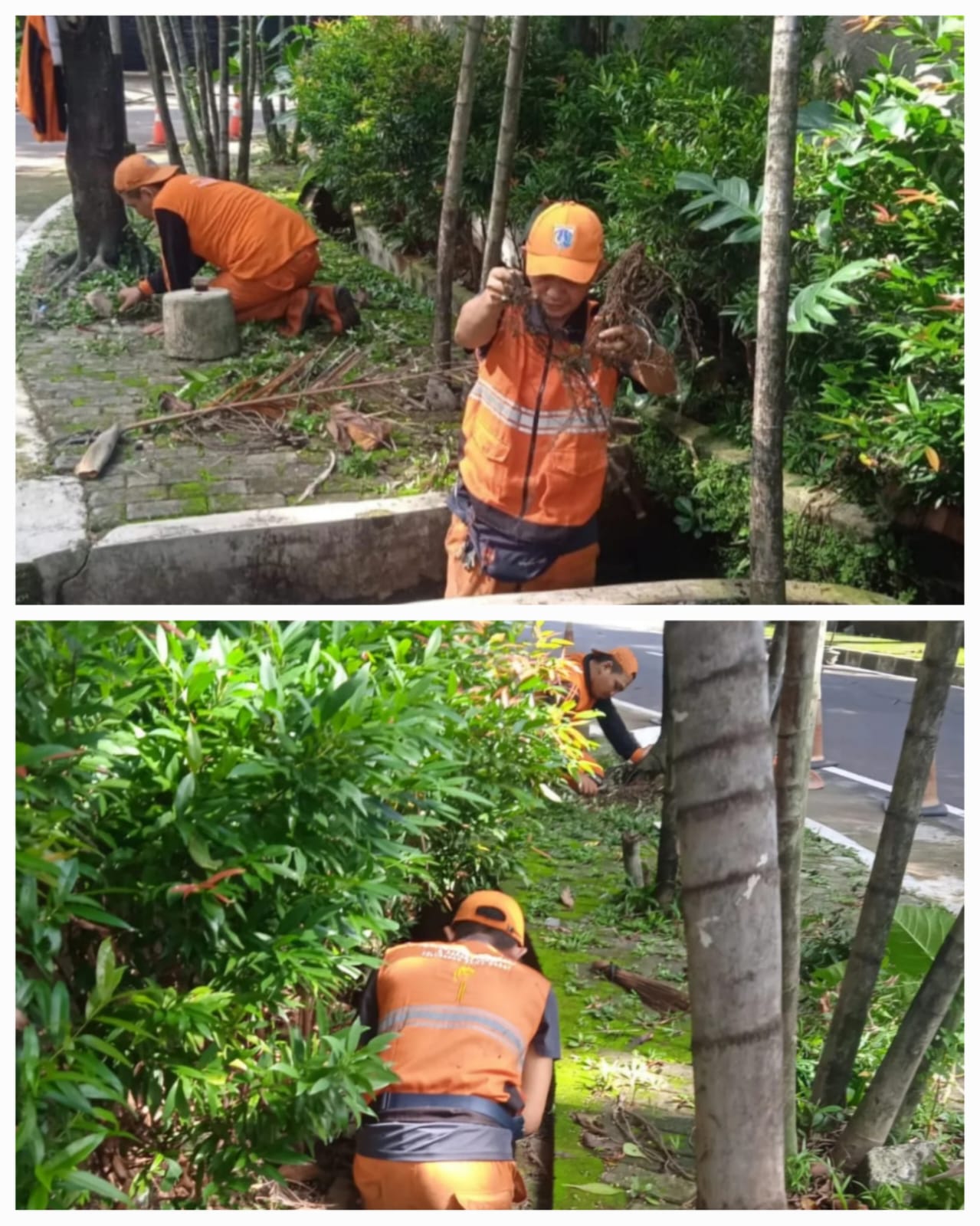 Pembersih-Saluran-Air-Jl-Ciasem-II-RW-04-Kelurahan-Rawa-Barat