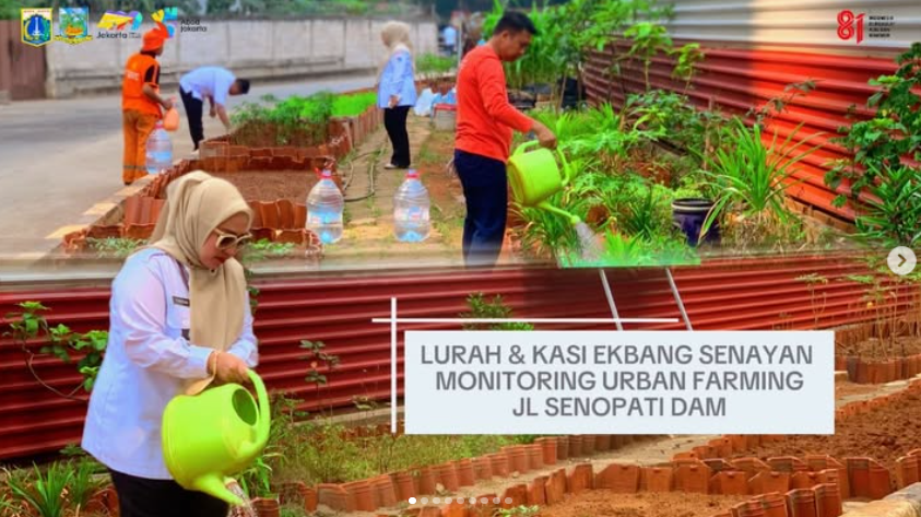 Kegiatan-monitoring-urban-farming