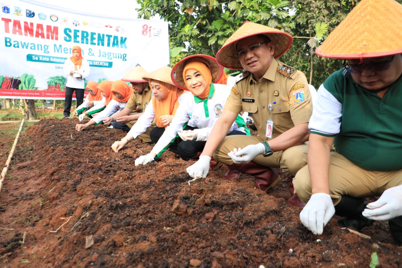 Pemkot Jaksel Bersama PKK Tanam Bawang Merah dan Jagung Serentak di 187 Titik