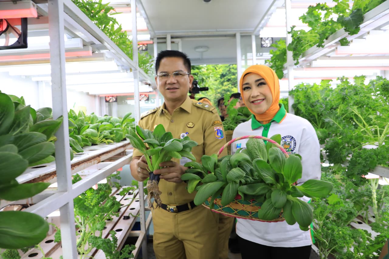 Pemkot Jaksel Bersama PKK Tanam Bawang Merah dan Jagung Serentak di 187 Titik
