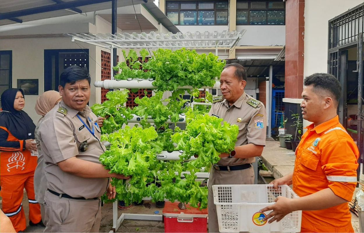 Kelurahan-Rawajati-Manfaatkan-Lahan-Kosong-Untuk-Urban-Farming