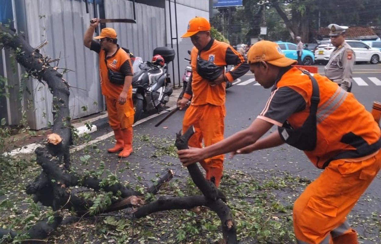 Kelurahan-Duren-Tiga-Tangani-Pohon-Tumbang-di-Jalan-TMP-Kalibata