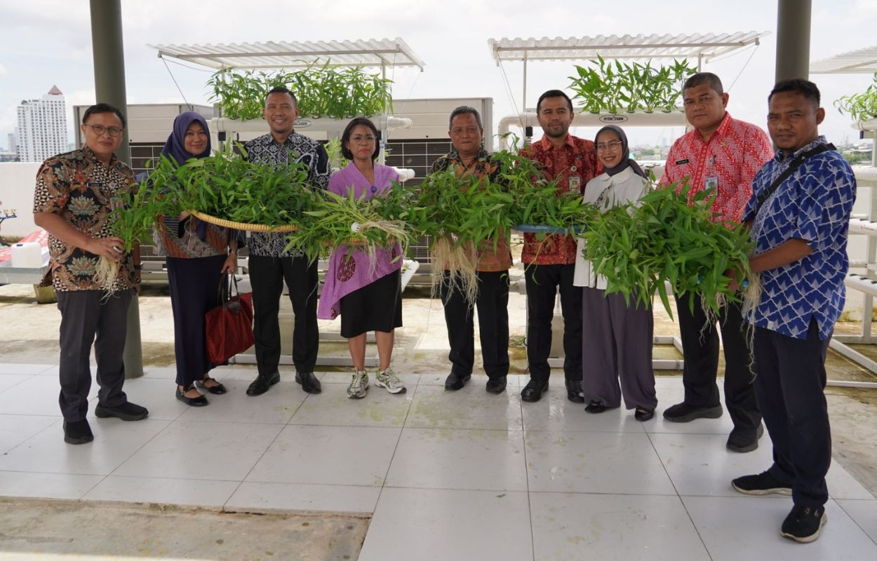 Jajaran-Kecamatan-dan-Puskesmas-Tebet-Panen-Kangkung-Hidroponik