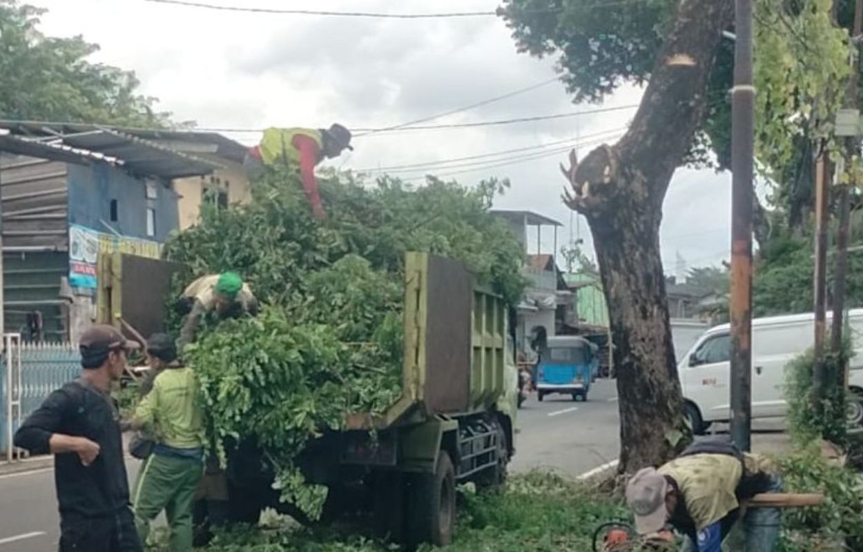 Sudin-Tamhut-Jaksel-Toping-Pohon-di-Jalan-Manggarai-Utara-2