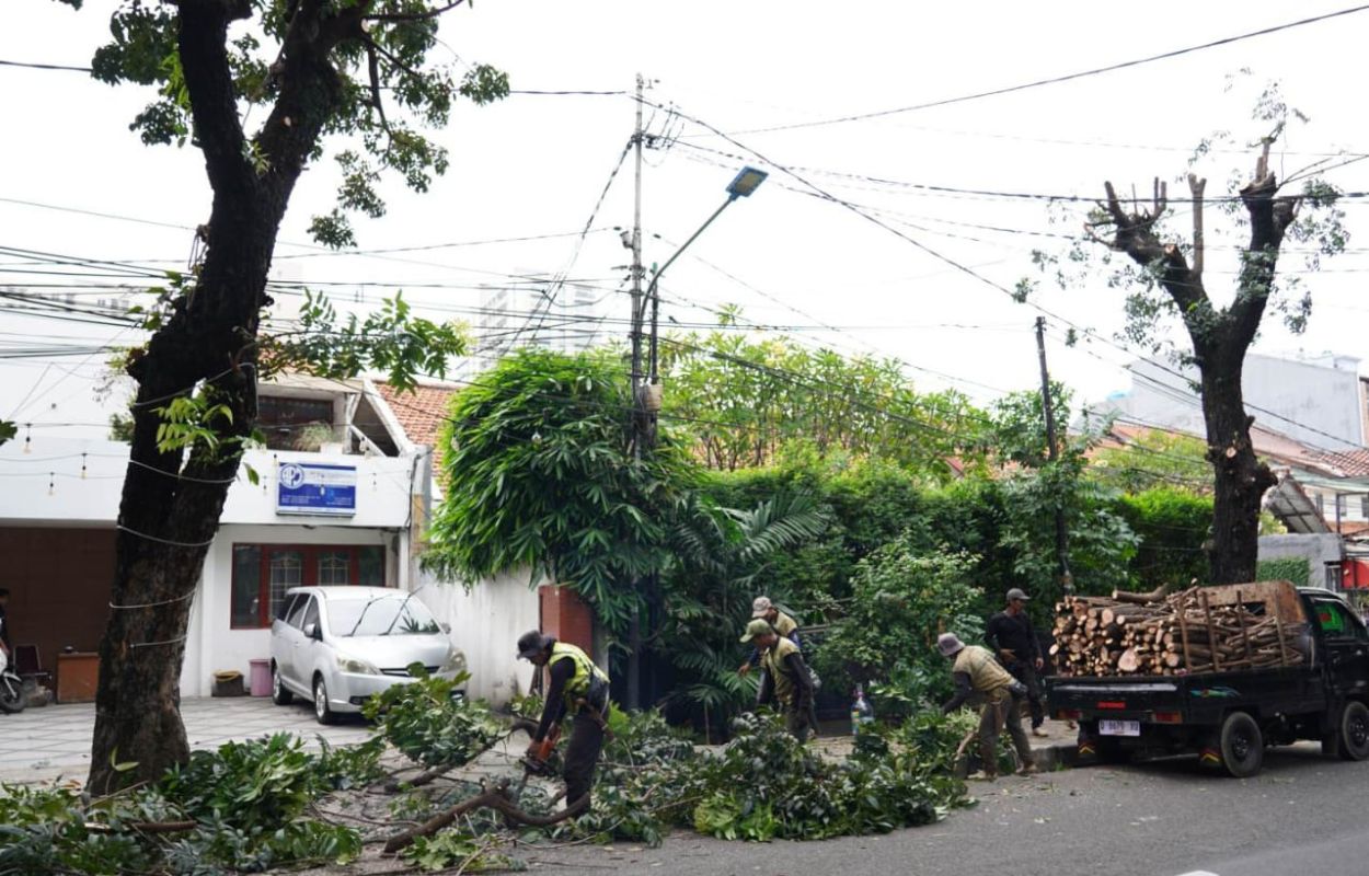 Tindaklanjuti-Aduan-Warga-Sudin-Tamhut-Pangkas-Pohon-di-Tebet-Timur