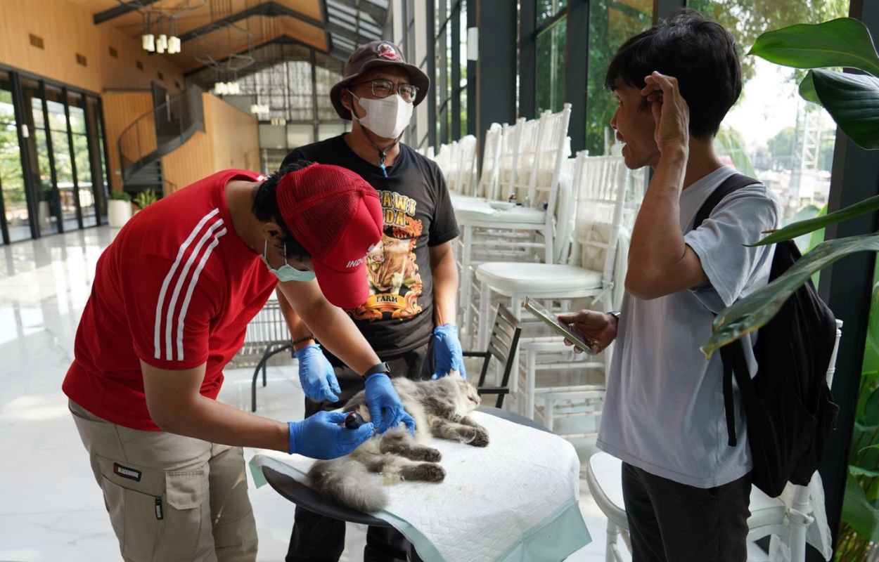Sudin-KPKP-Jaksel-Gelar-Vaksinasi-Rabies-dan-Sterilisasi-Kucing-di-Cibis-Park