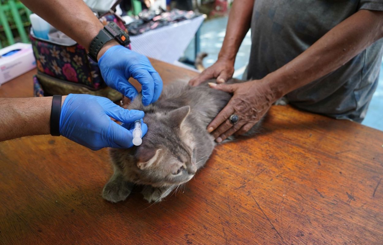 148-HPR-di-Wilayah-Kecamatan-Tebet-Divaksinasi-Rabies