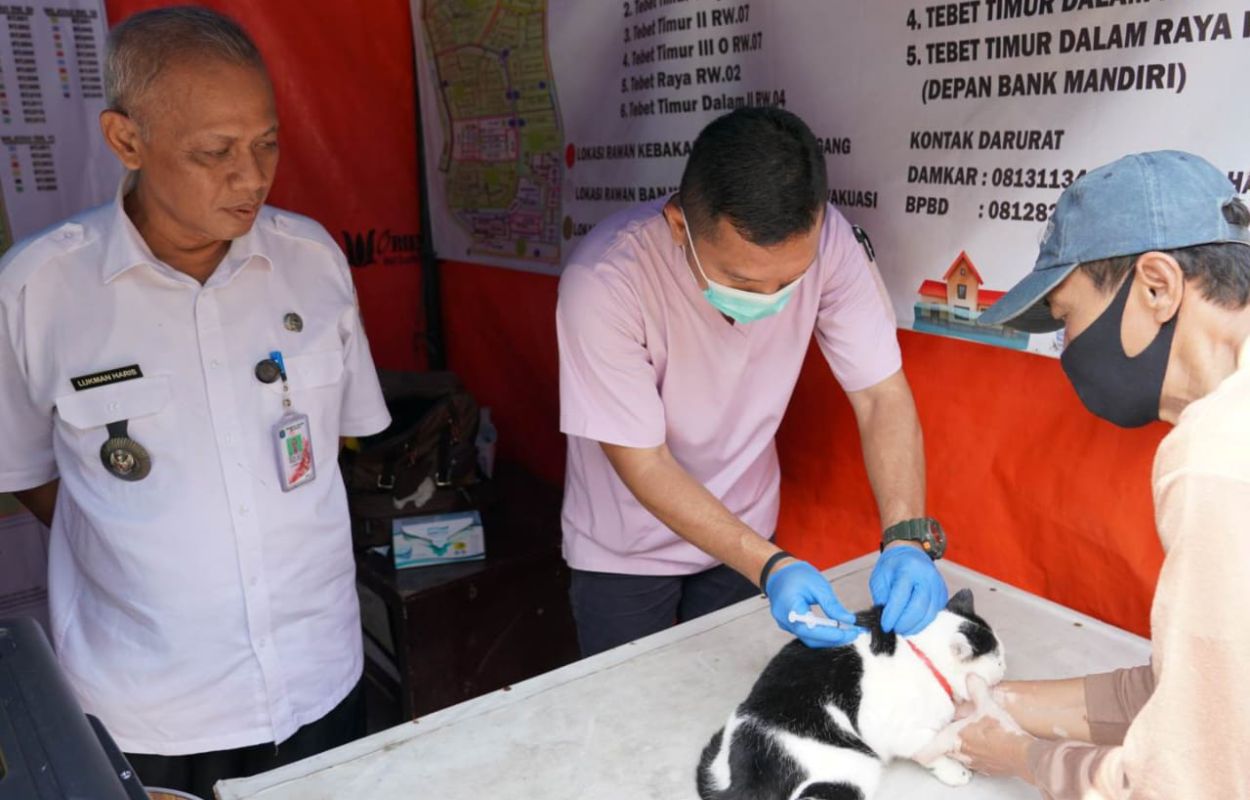 Puluhan-HPR-di-Wilayah-Tebet-Timur-Divaksin-Rabies