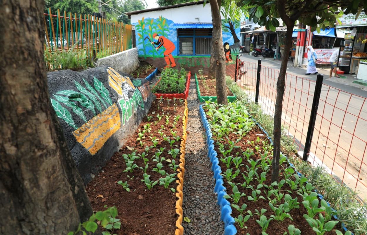 Taman-Urban-Farming-di-Jalan-Rawajati-Barat-Telah-Selesai-Dikerjakan