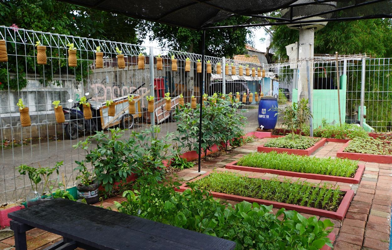 Kelurahan-Kebon-Baru-Sulap-Tempat-Pembuangan-Sampah-Jadi-Kawasan-Hijau