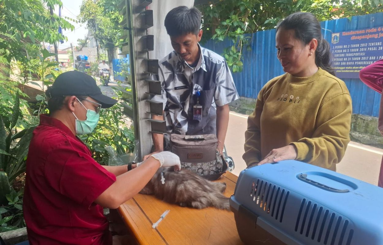 Pertahankan-Status-Bebas-Rabies-153-Hewan-di-Mampang-Prapatan-Divaksin