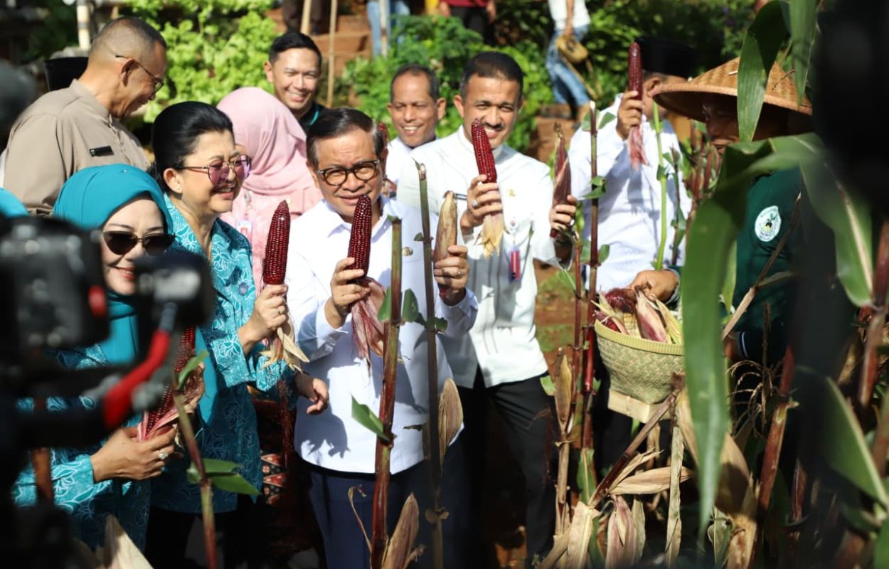 Gubernur-Pramono-Apresiasi-Panen-Raya-di-Jaksel-Capai-540-Ton