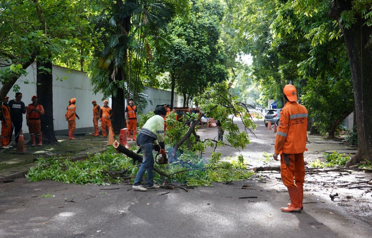 Pemangkasan-Pohon-Serentak-Dilakukan-di-Jaksel