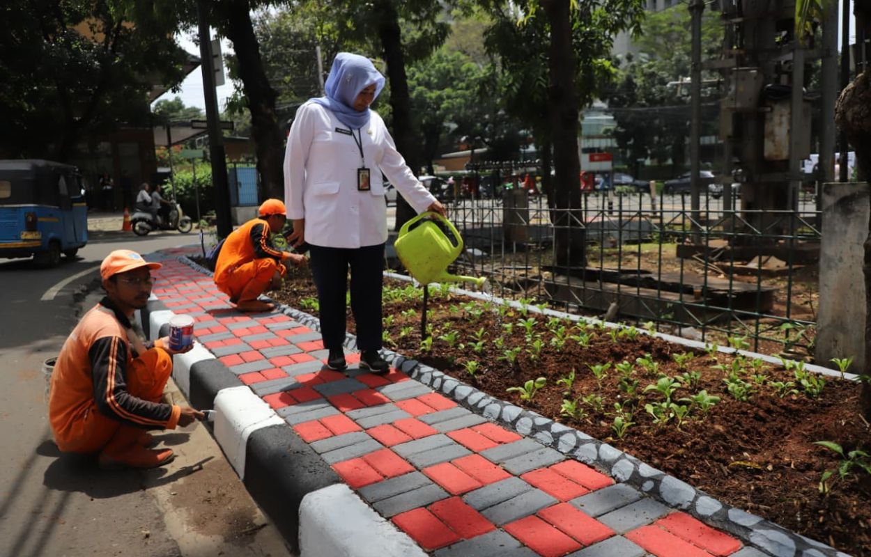 Tanaman-Toga-Penuhi-Jalan-Gandaria-II