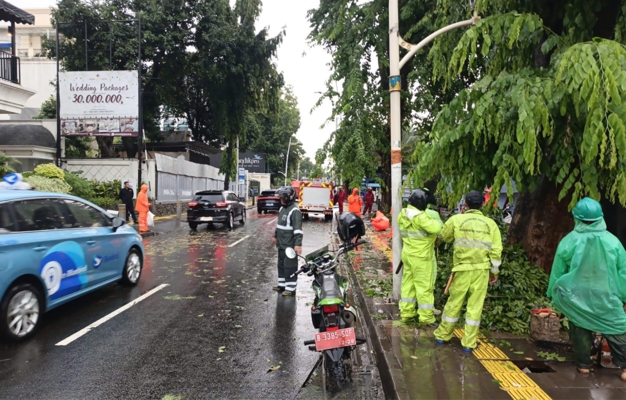 Pohon-Tumbang-Telah-Dievakuasi-Jalan-Kemang-Raya-Sudah-Bisa-Dilalui