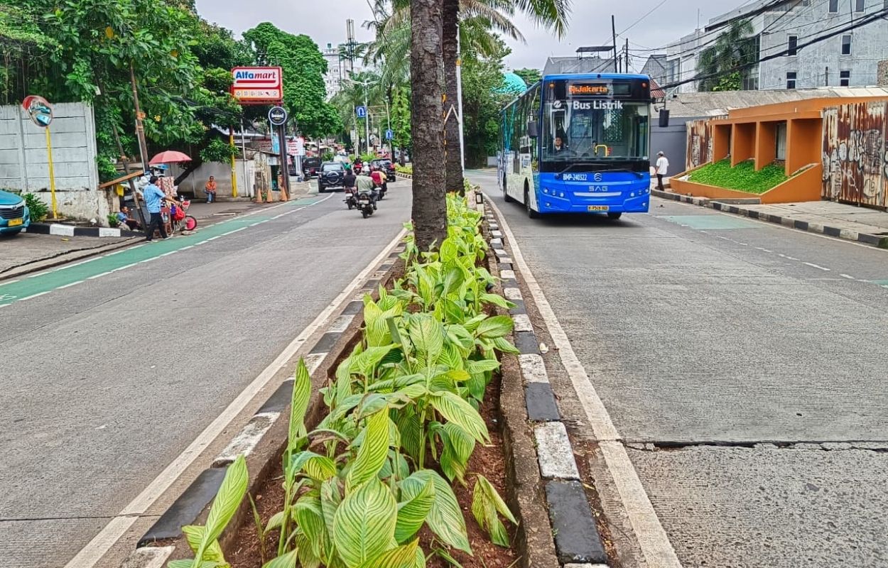 Sudin-Tamhut-Lakukan-Peremajaan-Tanaman-di-Jalan-Harsono-RM