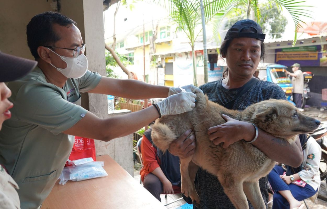 Puluhan-HPR-di-Kelurahan-Pasar-Manggis-Divaksin-Rabies