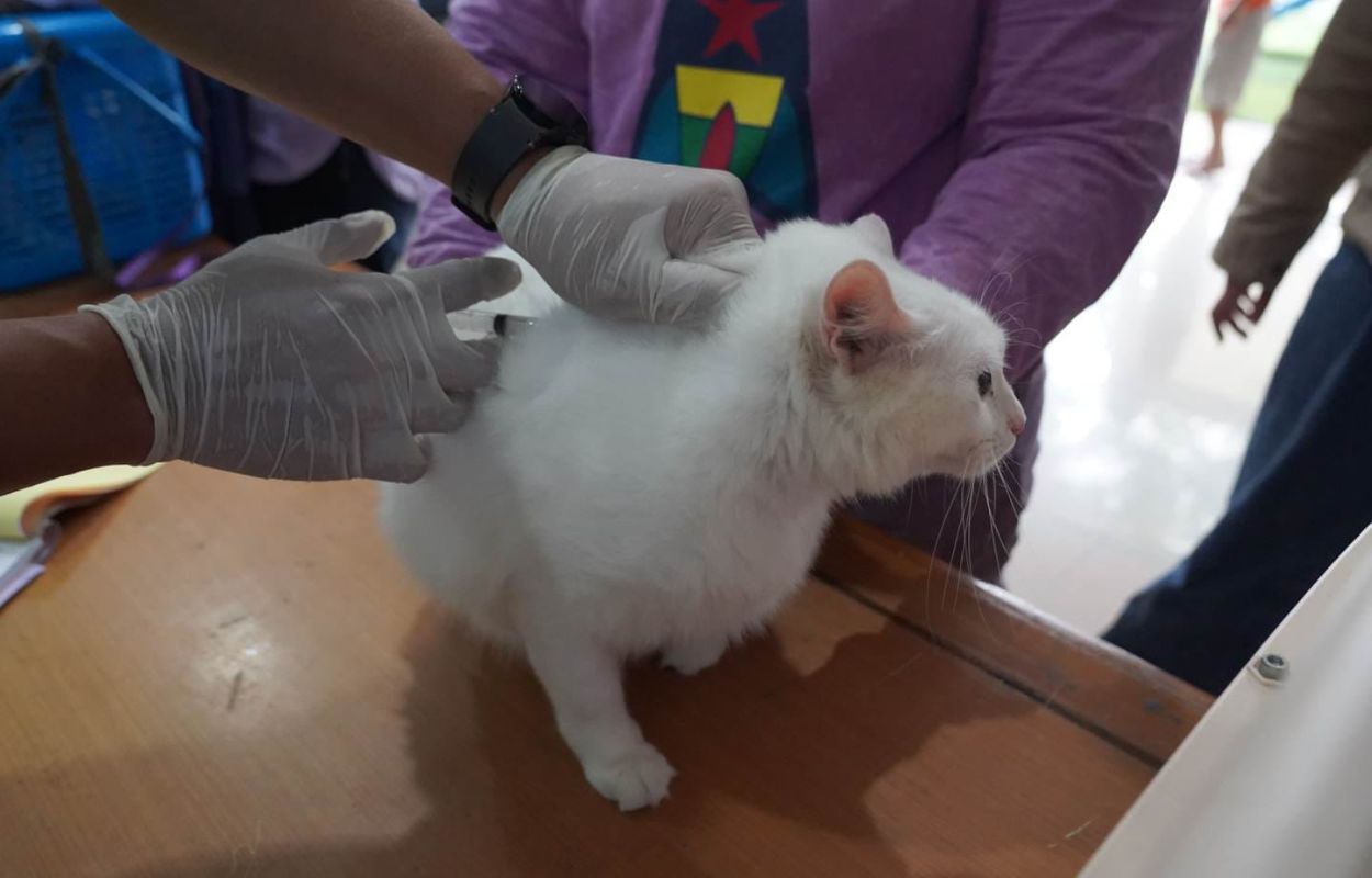 43-HPR-di-Kelurahan-Menteng-Atas-Divaksin-Rabies