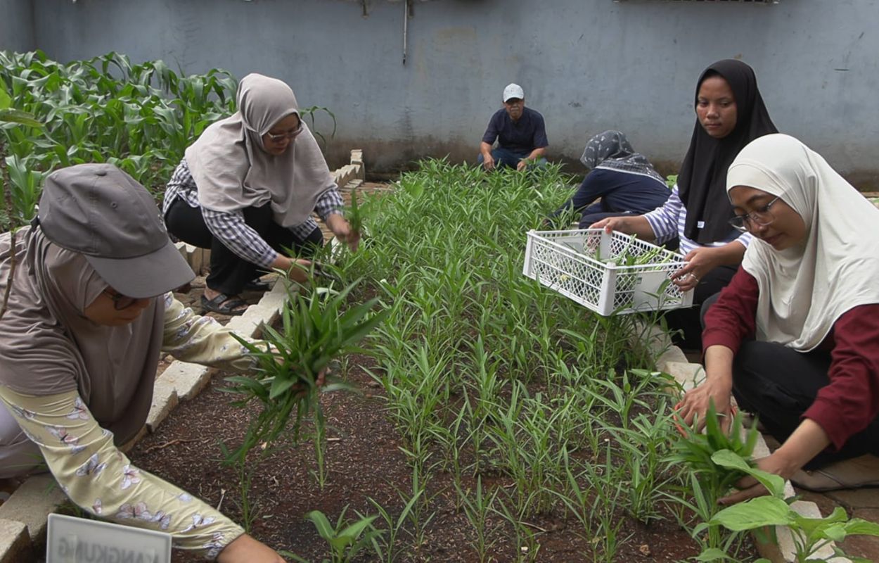 Kebayoran-Lama-Selatan-Manfaatkan-Lahan-Kosong-Untuk-Ketahanan-Pangan