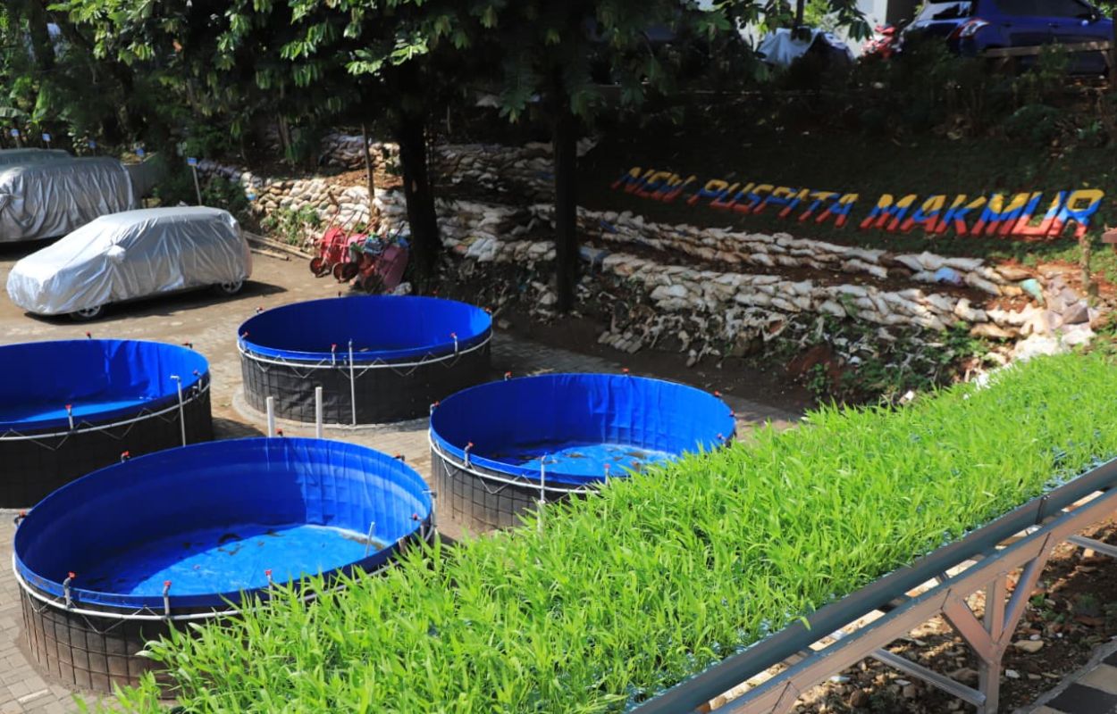 Kelurahan-Gandaria-Utara-Ubah-Lahan-Kosong-Jadi-Lahan-Produktif
