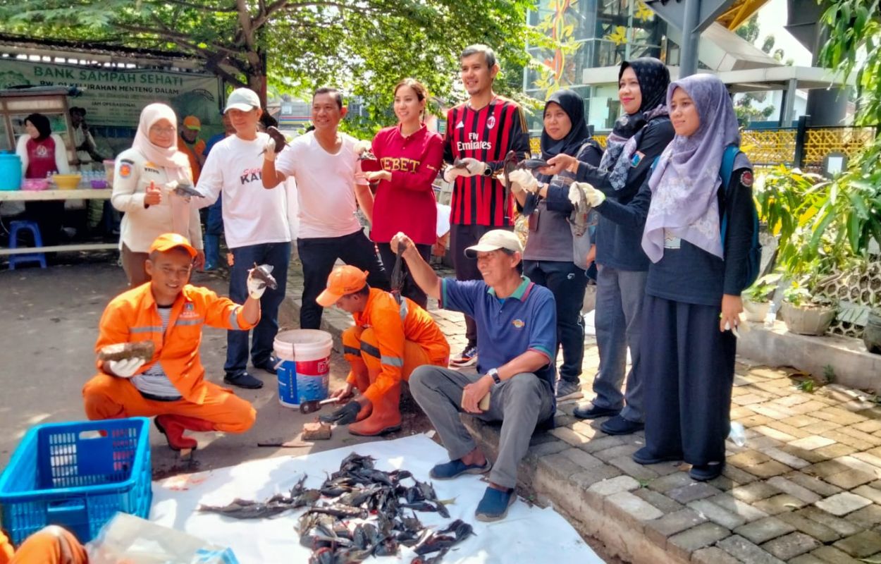 Puluhan-Kilogram-Ikan-Sapu-sapu-Dari-Kali-Baru-Menteng-Dalam-Dimusnahkan