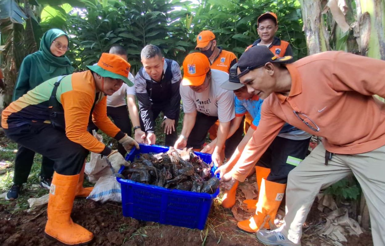 Kelurahan-Pesanggrahan-Berantas-Ikan-Sapu-sapu-di-Phb-Keuangan