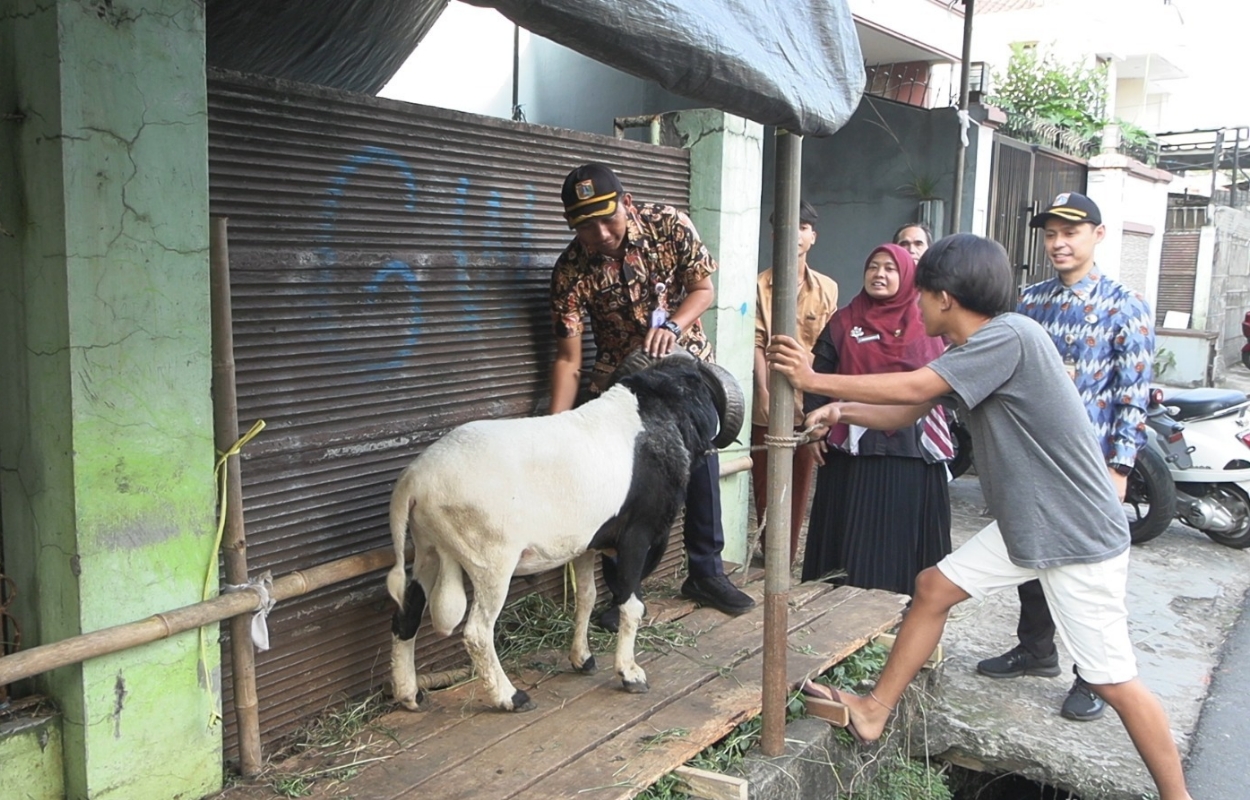 Kelurahan-Grogol-Selatan-Tindak-Penjual-Hewan-Kurban-Gunakan-Fasilitas-Umum