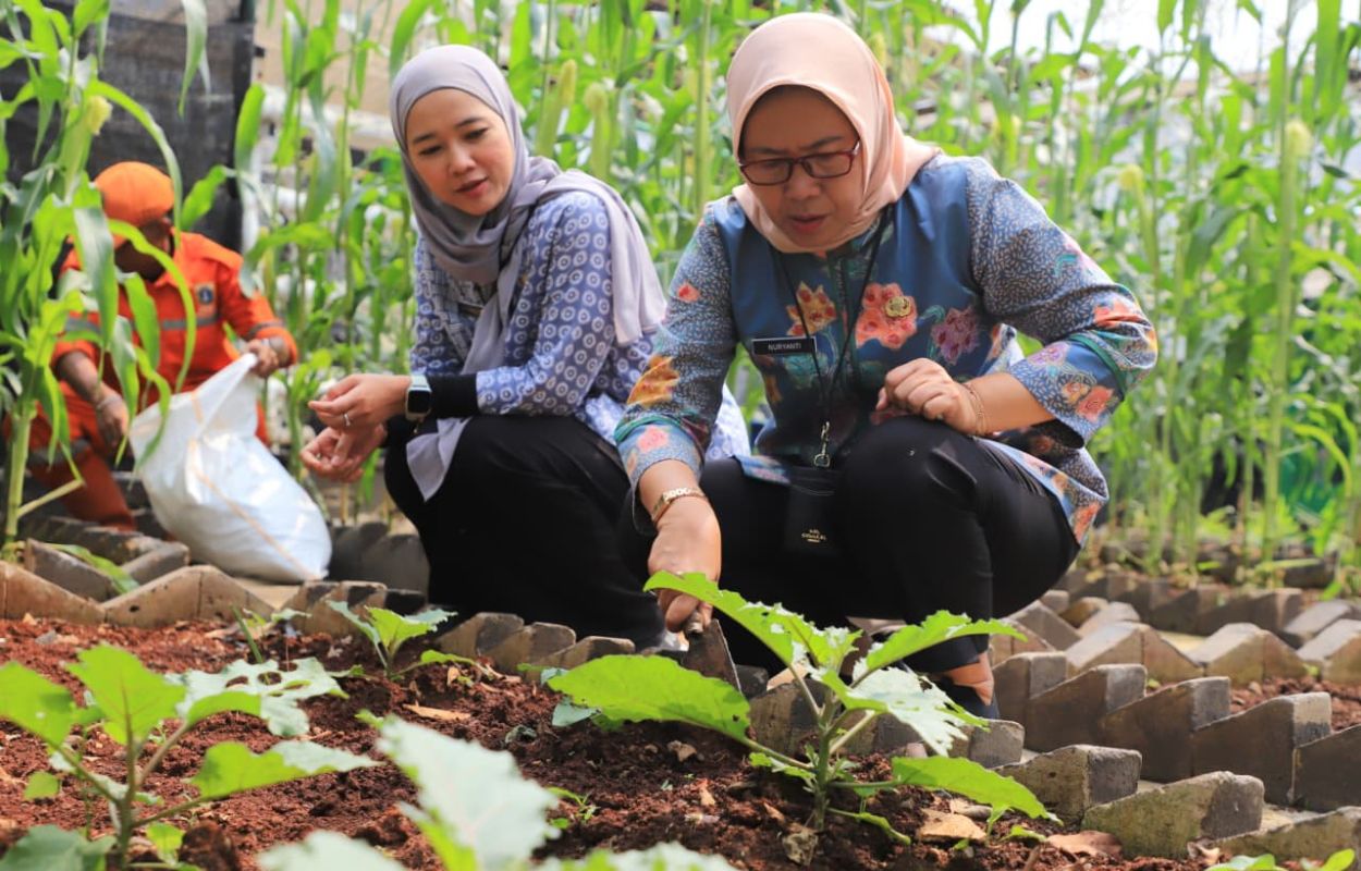 Kelurahan-Kebayoran-Lama-Selatan-Revitalisasi-Lahan-Poktan-RW-07