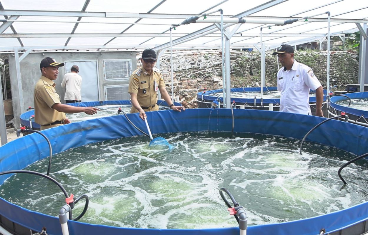 Poktan-New-Puspita-Makmur-Kembangkan-Budidaya-Ikan-Nila-Sistem-Bioflok
