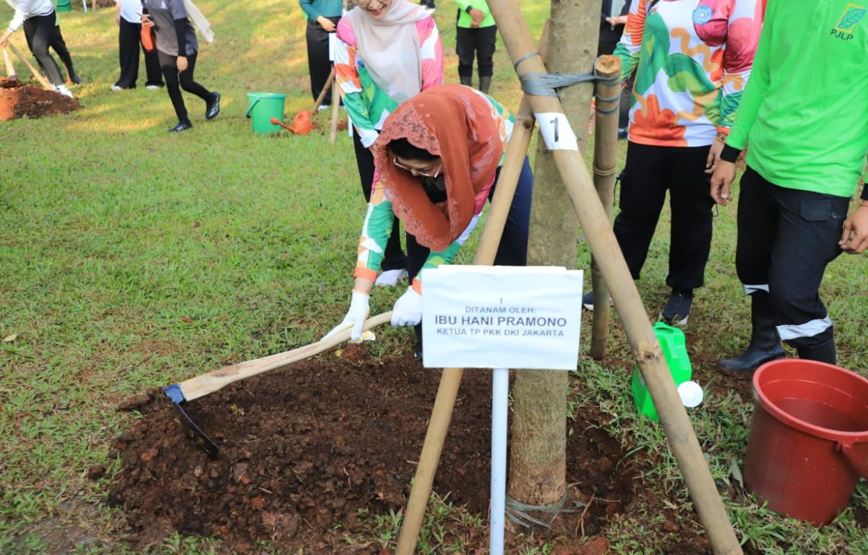 150-Pohon-Tabebuya-Ditanam-di-Taman-Bendera-Pusaka