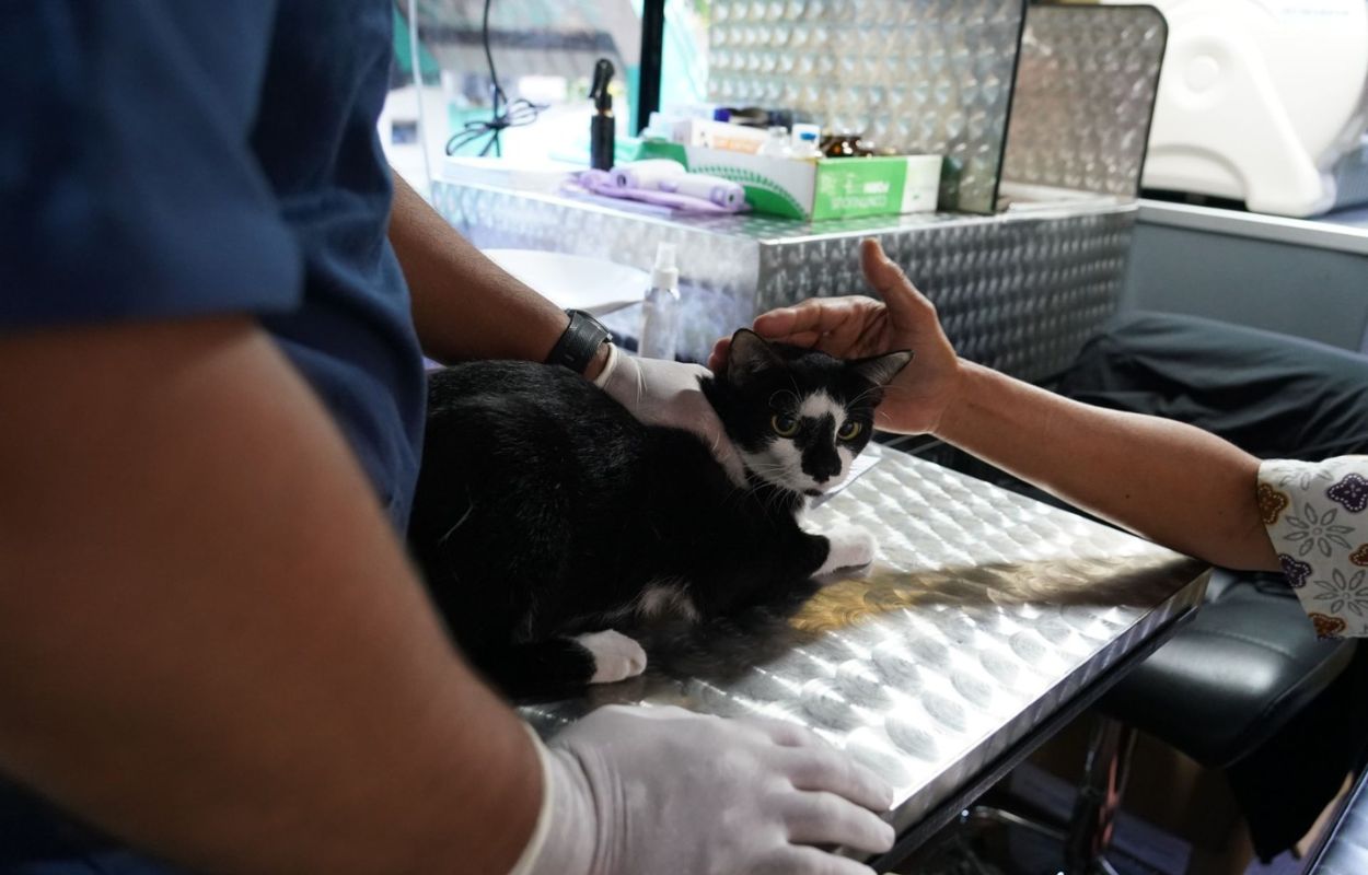 Klinik-Hewan-Keliling-Hadir-di-RPTRA-Flamboyan