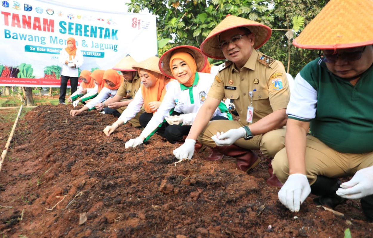 Pemkot-Bersama-TP-PKK-Jaksel-Tanam-Bawang-Merah-dan-Jagung-Serentak-di-187-Titik