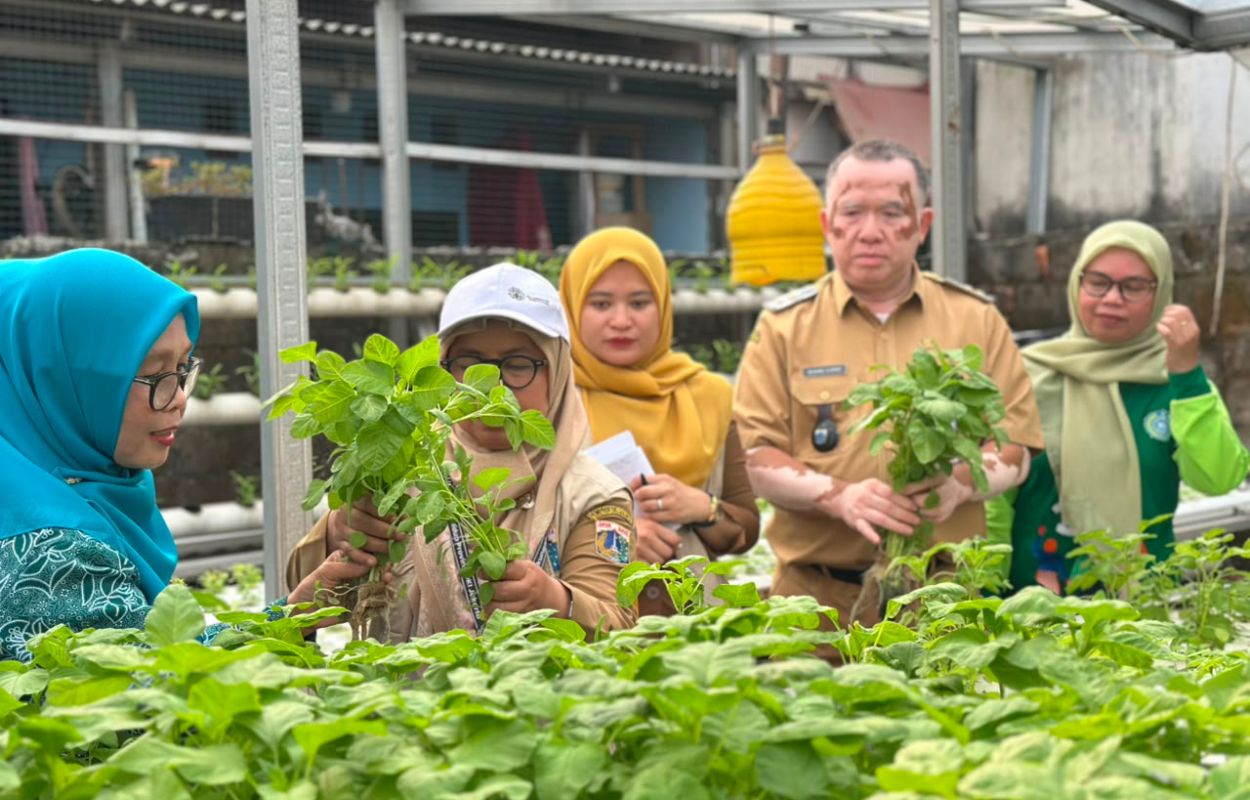 Tim-Verlap-Proklim-Nilai-Hidroponik-RW-02-Petukangan-Selatan-Sangat-Menonjol