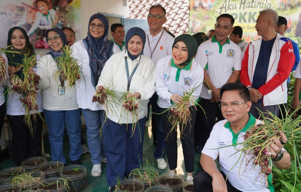 Walikota-Syafrin-Pimpin-Panen-Bawang-Merah-Serentak-di-167-Lokasi