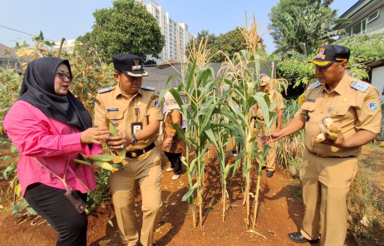 Kelurahan-Pesanggrahan-Panen-29-Kilogram-Jagung-dan-Bawang-Merah-di-Poktan-Kebun-Apel