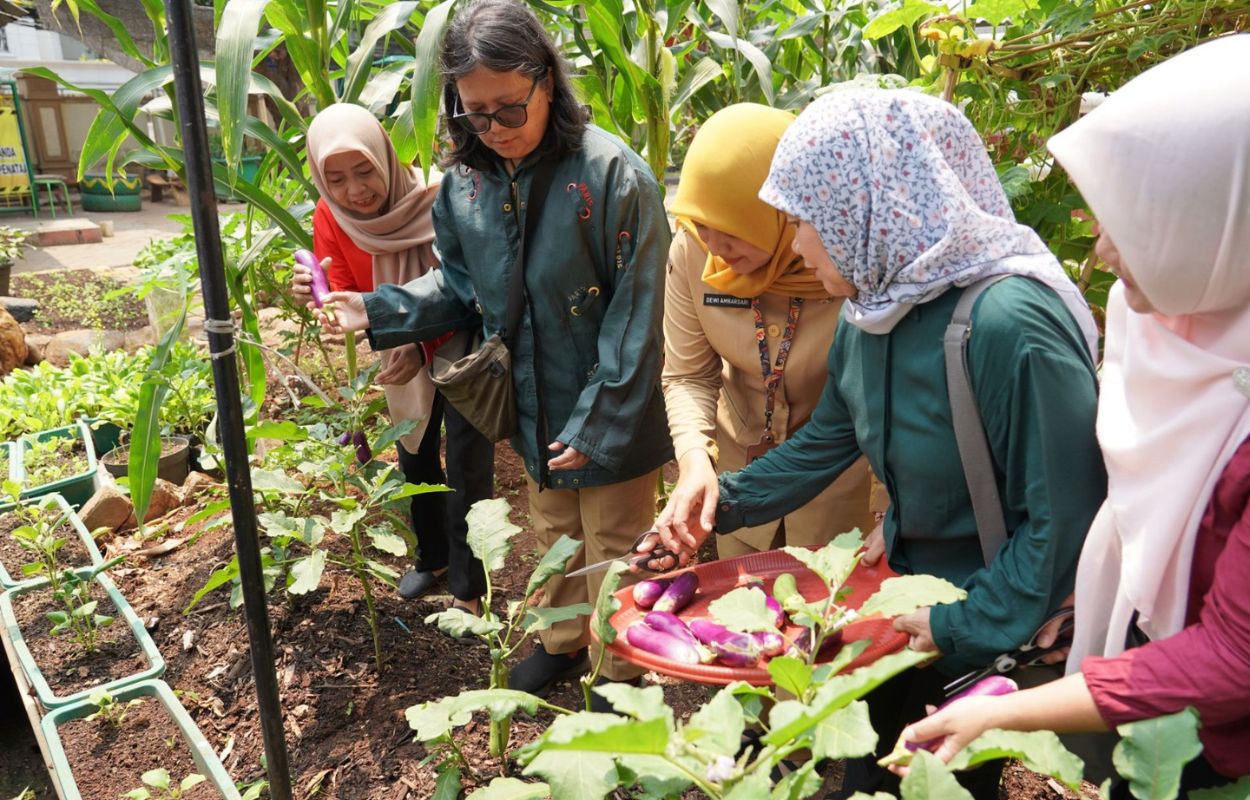 Wujudkan-Kemandirian-Pangan-Kelurahan-Setiabudi-Panen-Sayuran