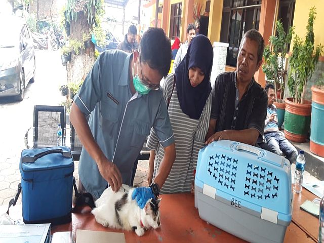 4135-hpr-di-jaksel-telah-divaksinasi