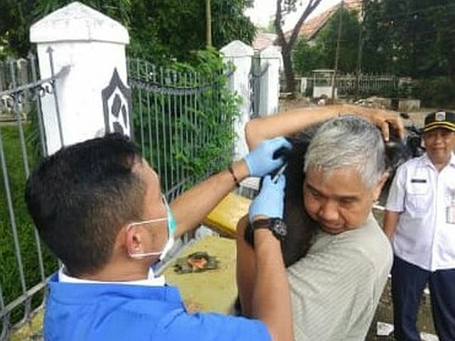 45-hewan-di-tebet-divaksinasi-rabies