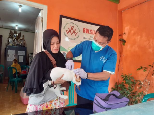 70-hewan-di-kelurahan-menteng-dalam-dapatkan-vaksin-rabies-gratis