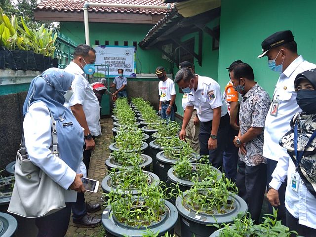 budidamber-kelompok-perikanan-bina-family-fokus-di-lele-dan-nila