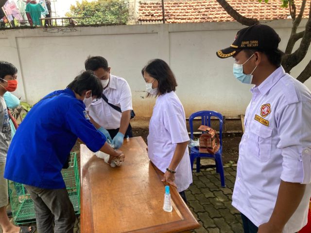 karang-taruna-bintaro-bersama-satpel-kpkp-gelar-vaksin-rabies