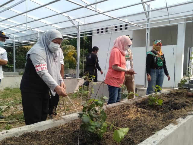 komunitas-petani-anggur-jaksel-dan-kpkp-gaungkan-gerakan-kantor-berkebun