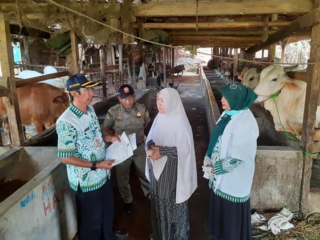 penjual-hewan-kurban-di-mampang-prapatan-sambut-baik-pemeriksaan