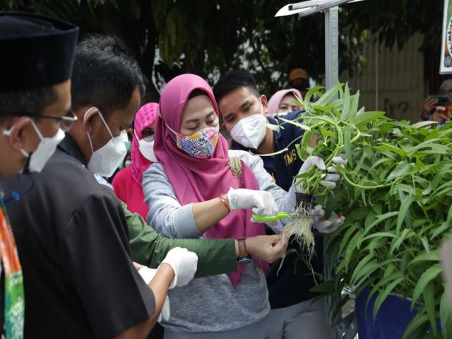 pkk-jaksel-panen-kangkung-dan-nila-di-kelurahan-manggarai-selatan