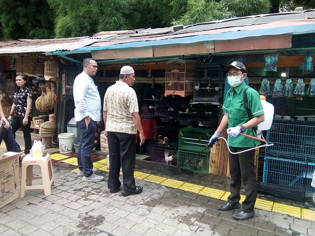 sudin-kpkp-jaksel-lakukan-biosekuriti-di-pasar-burung-barito
